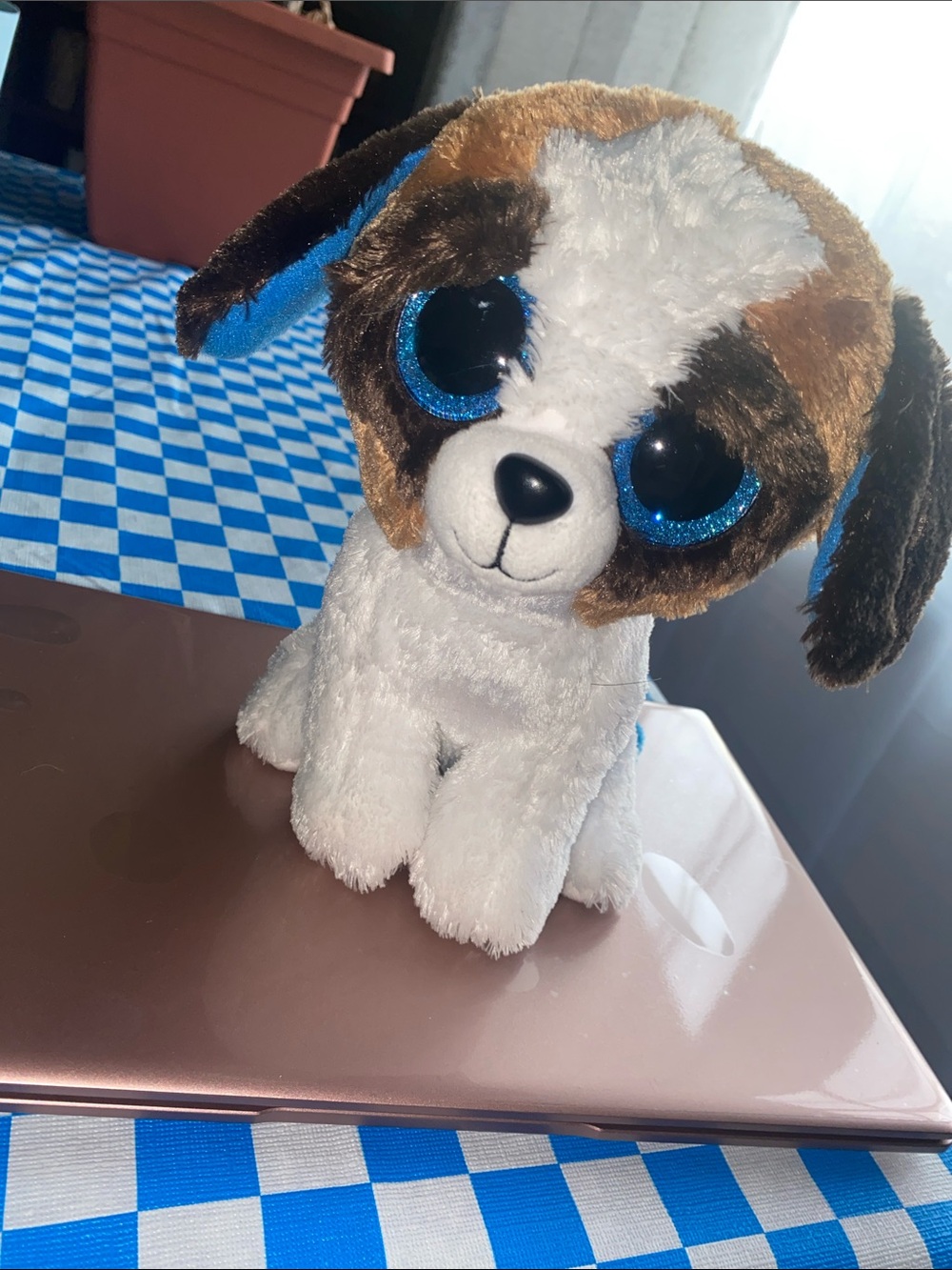 Duke the Dog, TY, Beanie boo